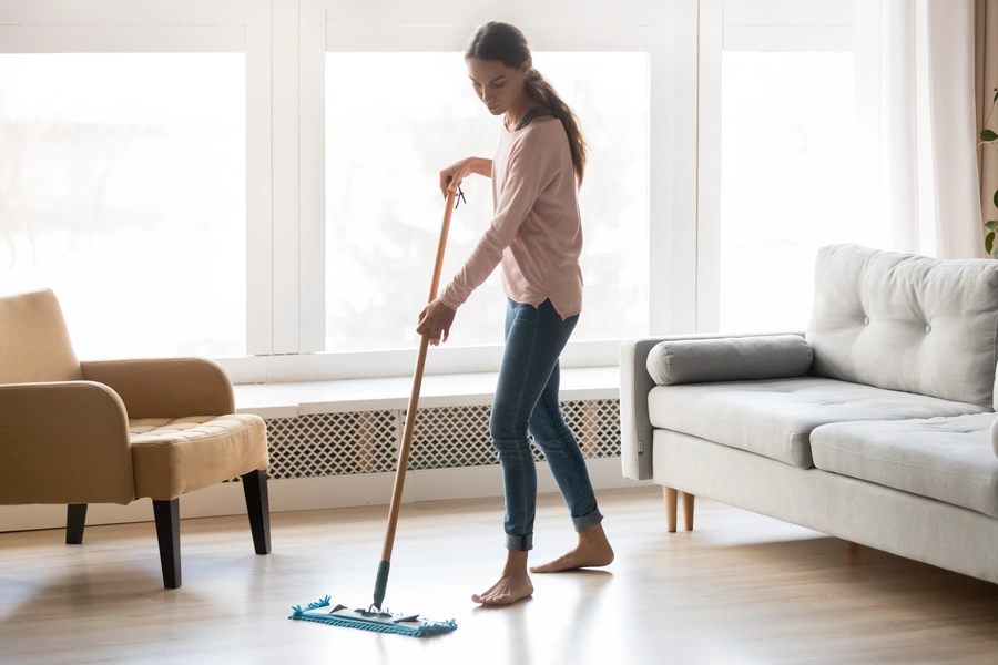 Affordable House Cleanout New Port Richey, FL