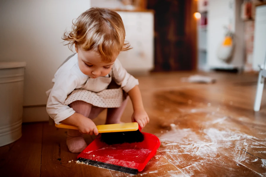 Reliable House Cleanout New Port Richey, FL