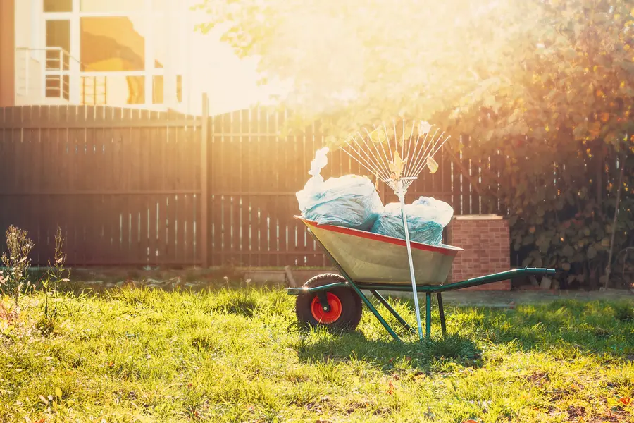 What To Expect From A Professional Yard Cleanup Service in New Port Richey, FL